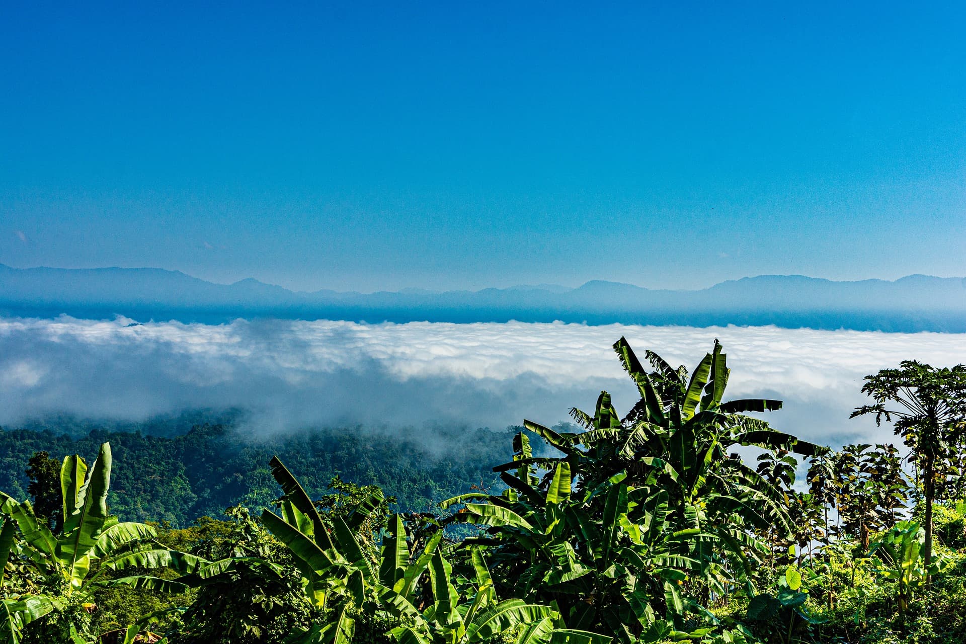 4 Days Dhaka to Sylhet & Srimangal