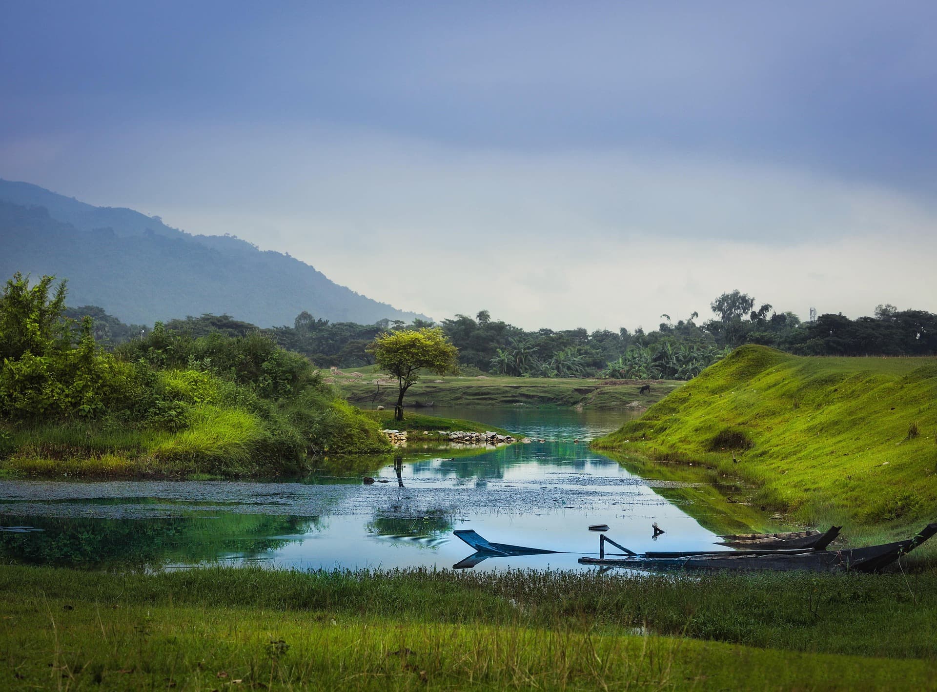 World's Largest Mangrove Forest
